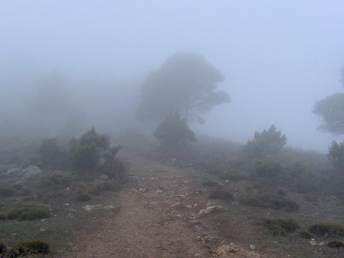 Excursi�n a la Sierra de V�znar - 17 de febrero de 2007 - Foto 48