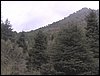 Excursi�n a la Sierra de V�znar
17 de febrero de 2007