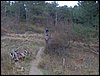 Excursi�n a la Sierra de V�znar
17 de febrero de 2007
