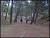 Excursi�n a la Sierra de V�znar
17 de febrero de 2007