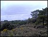 Excursi�n a la Sierra de V�znar
17 de febrero de 2007