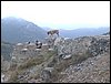 Excursi�n a la Sierra de V�znar
17 de febrero de 2007