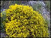 Excursi�n a la Sierra de V�znar
17 de febrero de 2007