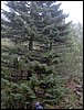Excursi�n a la Sierra de V�znar
17 de febrero de 2007