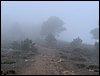 Excursi�n a la Sierra de V�znar
17 de febrero de 2007