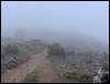 Excursi�n a la Sierra de V�znar
17 de febrero de 2007