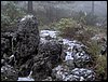 Excursi�n a la Sierra de V�znar
17 de febrero de 2007