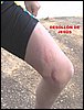Excursi�n en bici al Pantano de Cubillas
17 de marzo de 2007