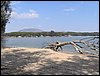 Excursi�n en bici al Pantano de Cubillas
17 de marzo de 2007