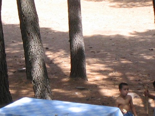 Campamento de verano 2005 en el Robledal - Del 1 al 14 de agosto de 2005 - Foto 331