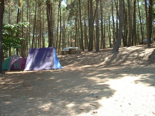 Campamento de verano 2005 en el Robledal - Del 1 al 14 de agosto de 2005 - Foto 498