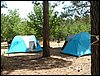 Campamento de verano 2005 en el Robledal - Del 1 al 14 de agosto de 2005