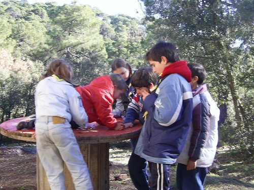 Campamento de Navidad - Sierra de Alfacar - 17 y 18 de diciembre de 2005 - Foto 65