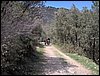 Campamento de Semana Santa 2006 (Alfacar) - 13 al 15 de abril de 2006
