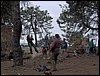 Campamento de Semana Santa 2006 (Alfacar) - 13 al 15 de abril de 2006