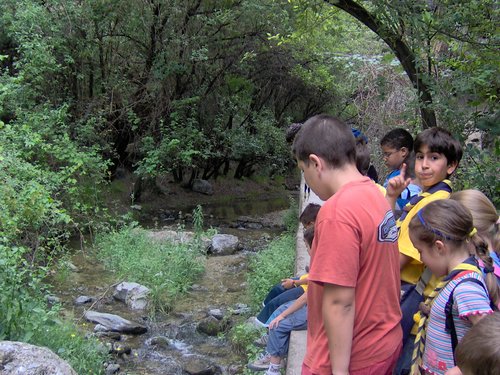 Excursi�n a los Cahorros el 10 de junio de 2006 - Foto 78