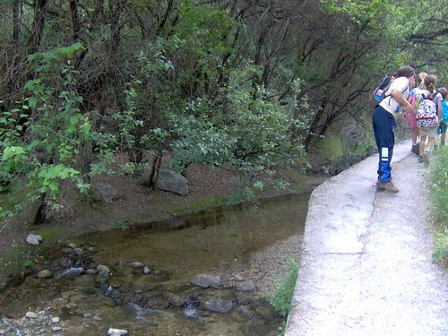 Excursi�n a los Cahorros el 10 de junio de 2006 - Foto 80