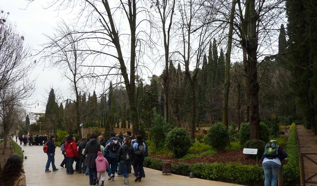 Visita Alhambra - 13 de febrero de 2010 - Foto 21
