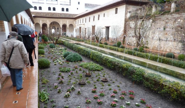 Visita Alhambra - 13 de febrero de 2010 - Foto 24
