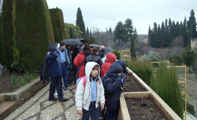 Visita Alhambra - 13 de febrero de 2010 - Foto 30