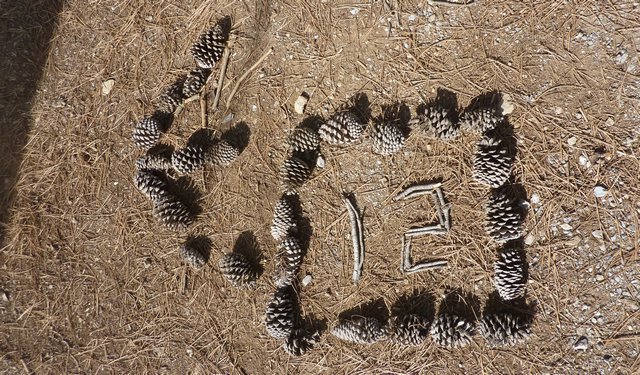Acampada 2� Trimestre - Casa del Cura - Foto 45