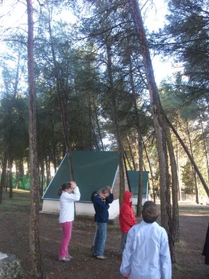 Campamento S.S Actividades - Bermejales, 5-8 de abril de 2012 - Foto 100