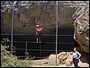 Curso ETLIM de Orientaci�n y Topograf�a en La Alfaguara - 7 y 8 de mayo de 2005
