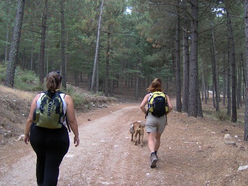 I Subida de Scouters a la Maroma - 9 de julio de 2005 - Foto 13