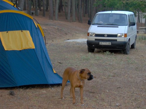 I Subida de Scouters a la Maroma - 9 de julio de 2005 - Foto 207