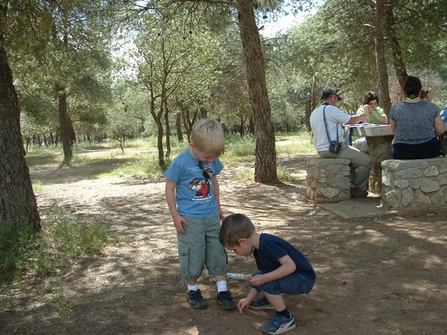 Comida entre amigos y reunin en el Llano de la Perdiz el 28 de febrero de 2006 - Foto 17