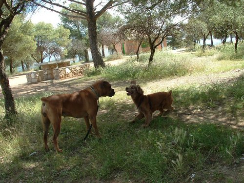 Comida entre amigos y reunin en el Llano de la Perdiz el 28 de febrero de 2006 - Foto 19