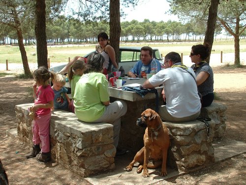 Comida entre amigos y reunin en el Llano de la Perdiz el 28 de febrero de 2006 - Foto 25