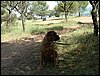 Comida entre amigos y reunin en el Llano de la Perdiz el 28 de febrero de 2006