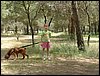 Comida entre amigos y reunin en el Llano de la Perdiz el 28 de febrero de 2006