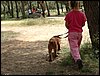 Comida entre amigos y reunin en el Llano de la Perdiz el 28 de febrero de 2006