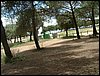 Comida entre amigos y reunin en el Llano de la Perdiz el 28 de febrero de 2006