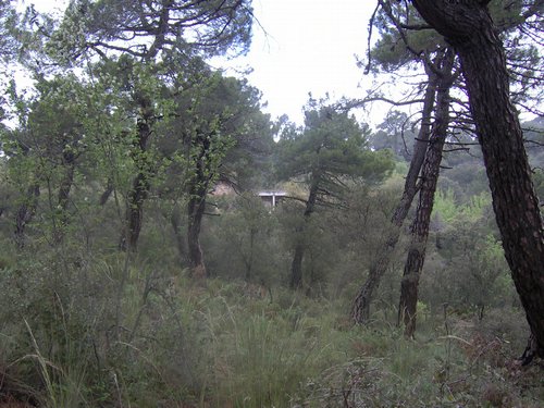 Curso ETLIM de Orientaci�n y Topograf�a II en la Sierra de Hu�tor el 6 y 7 de mayo de 2006 - Foto 14