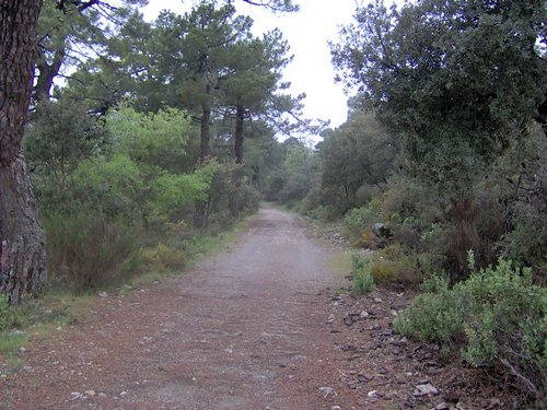 Curso ETLIM de Orientaci�n y Topograf�a II en la Sierra de Hu�tor el 6 y 7 de mayo de 2006 - Foto 17