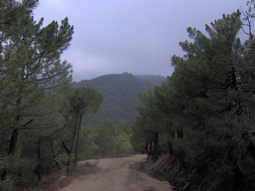 Curso ETLIM de Orientaci�n y Topograf�a II en la Sierra de Hu�tor el 6 y 7 de mayo de 2006 - Foto 23