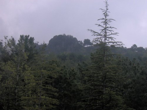 Curso ETLIM de Orientaci�n y Topograf�a II en la Sierra de Hu�tor el 6 y 7 de mayo de 2006 - Foto 25