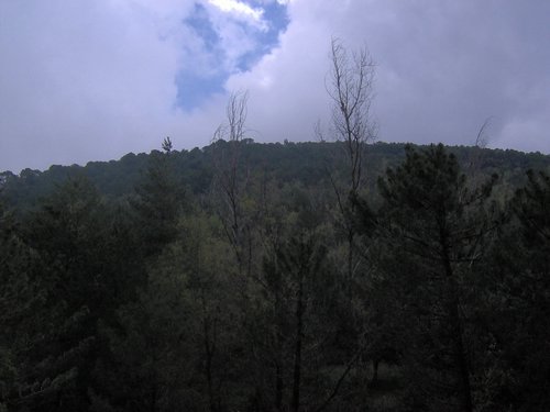 Curso ETLIM de Orientaci�n y Topograf�a II en la Sierra de Hu�tor el 6 y 7 de mayo de 2006 - Foto 26