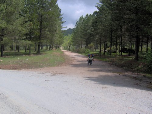 Curso ETLIM de Orientaci�n y Topograf�a II en la Sierra de Hu�tor el 6 y 7 de mayo de 2006 - Foto 42
