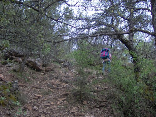 Curso ETLIM de Orientaci�n y Topograf�a II en la Sierra de Hu�tor el 6 y 7 de mayo de 2006 - Foto 55