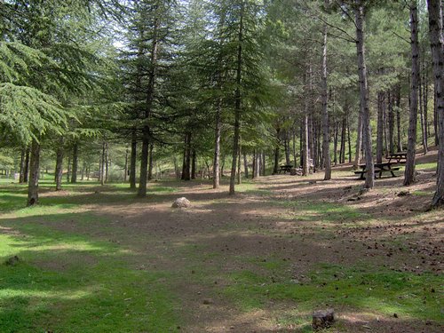 Curso ETLIM de Orientaci�n y Topograf�a II en la Sierra de Hu�tor el 6 y 7 de mayo de 2006 - Foto 70