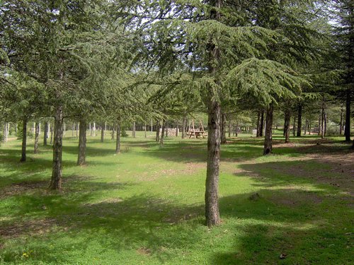 Curso ETLIM de Orientaci�n y Topograf�a II en la Sierra de Hu�tor el 6 y 7 de mayo de 2006 - Foto 71