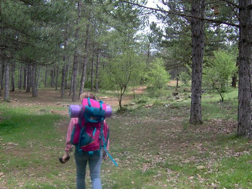 Curso ETLIM de Orientaci�n y Topograf�a II en la Sierra de Hu�tor el 6 y 7 de mayo de 2006 - Foto 74