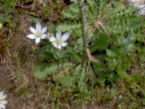 Curso ETLIM de Orientaci�n y Topograf�a II en la Sierra de Hu�tor el 6 y 7 de mayo de 2006 - Foto 77