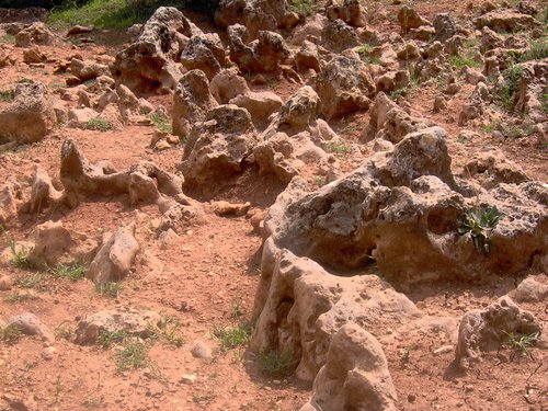 Curso ETLIM de Orientaci�n y Topograf�a II en la Sierra de Hu�tor el 6 y 7 de mayo de 2006 - Foto 83