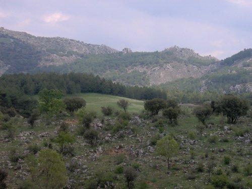 Curso ETLIM de Orientaci�n y Topograf�a II en la Sierra de Hu�tor el 6 y 7 de mayo de 2006 - Foto 88