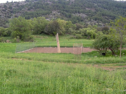 Curso ETLIM de Orientaci�n y Topograf�a II en la Sierra de Hu�tor el 6 y 7 de mayo de 2006 - Foto 90